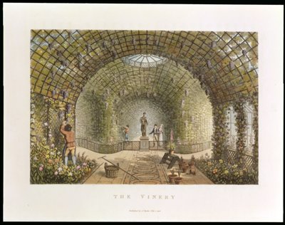 The Vinery, from 